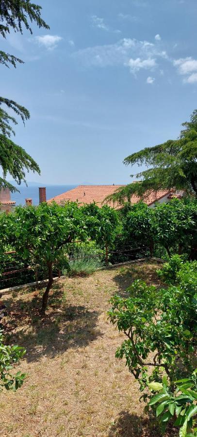 Apartment Park Rabac Exterior foto